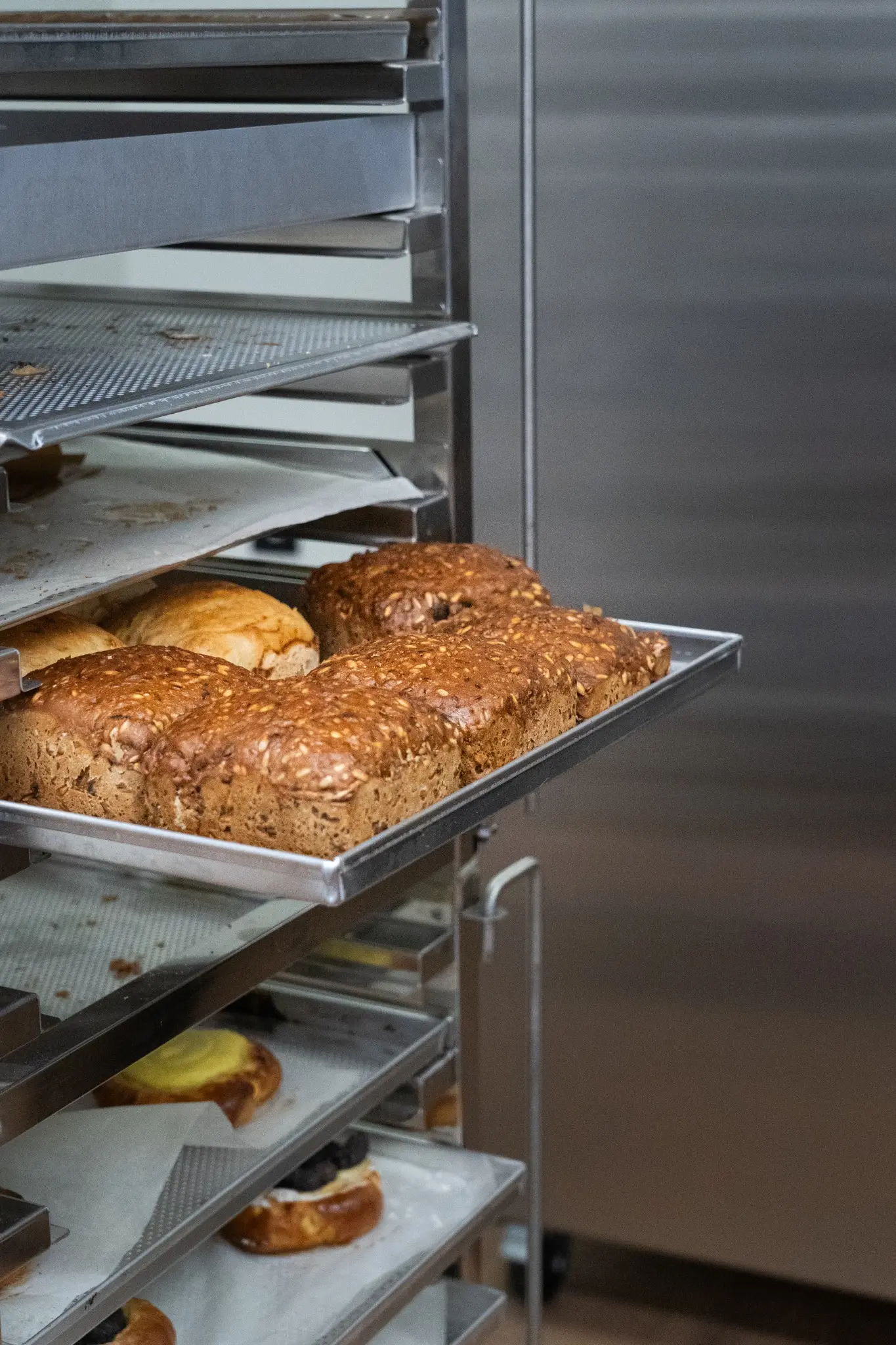 Produkcja bezglutenowego chleba i pieczywa w piekarni Bezzrná